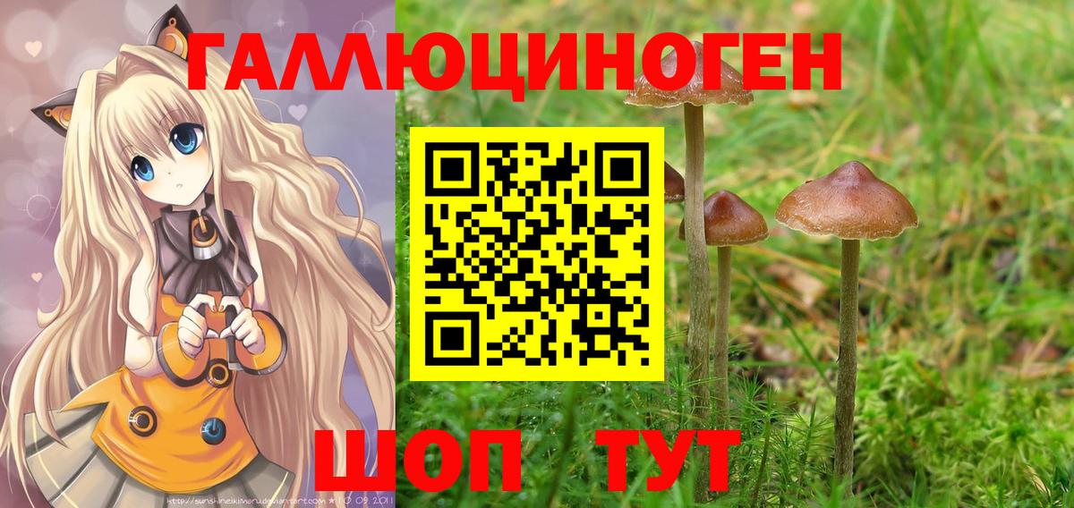 Великий Устюг  Галлюциногенные грибы Psilocybe  Вход с VPN 