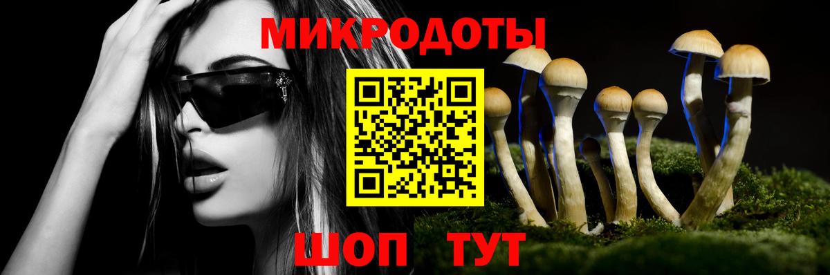Псилоцибиновые грибы мухоморы Великий Устюг